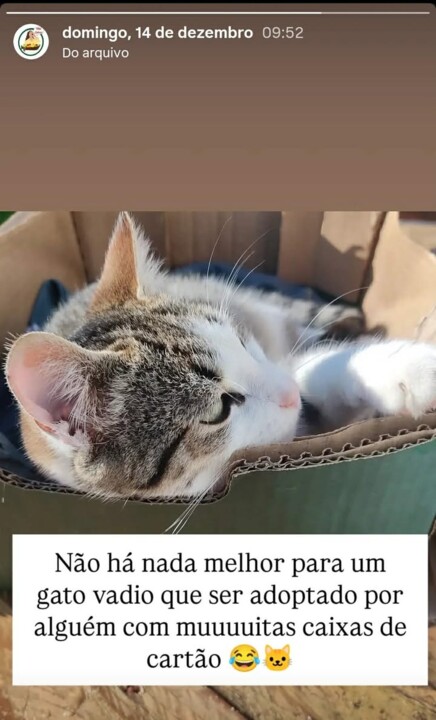 598308676_721929650965999_3883590694464937203_n.jp