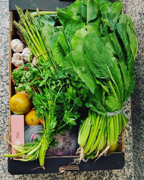 103137573_1720925154713905_2315061104273371246_o.j