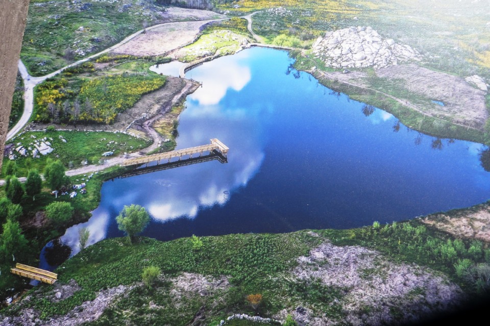 IMG_3366.JPG IMG_3366.JPG