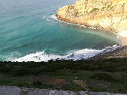 47432794_1257100991096326_4139579266176122880_n.jp