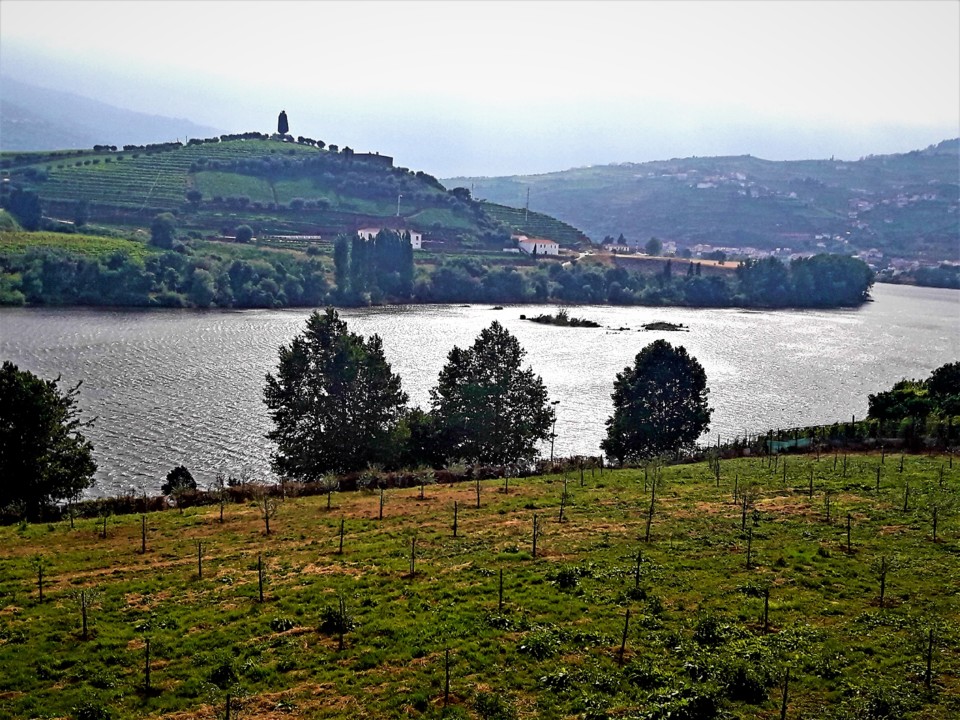 DOURO_PESO RÉGUA.jpg