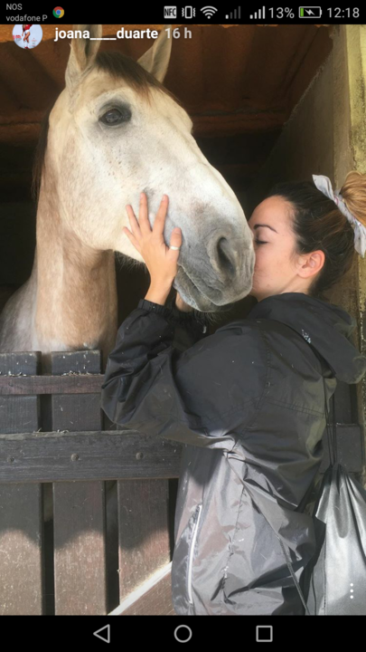 Screenshot_2017-01-23-12-18-23.png Screenshot_2017-01-23-12-18-23.png