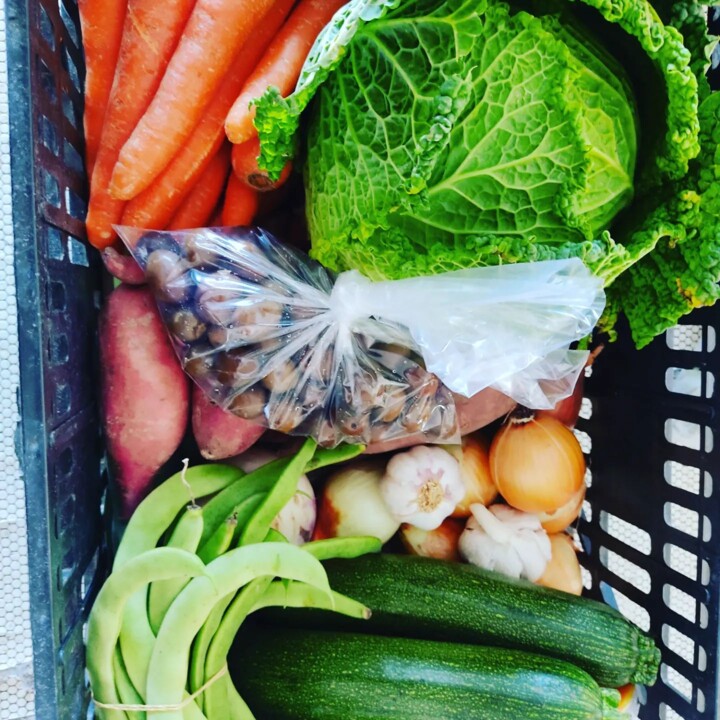 310994868_2428623827277364_2450015170465043480_n.j