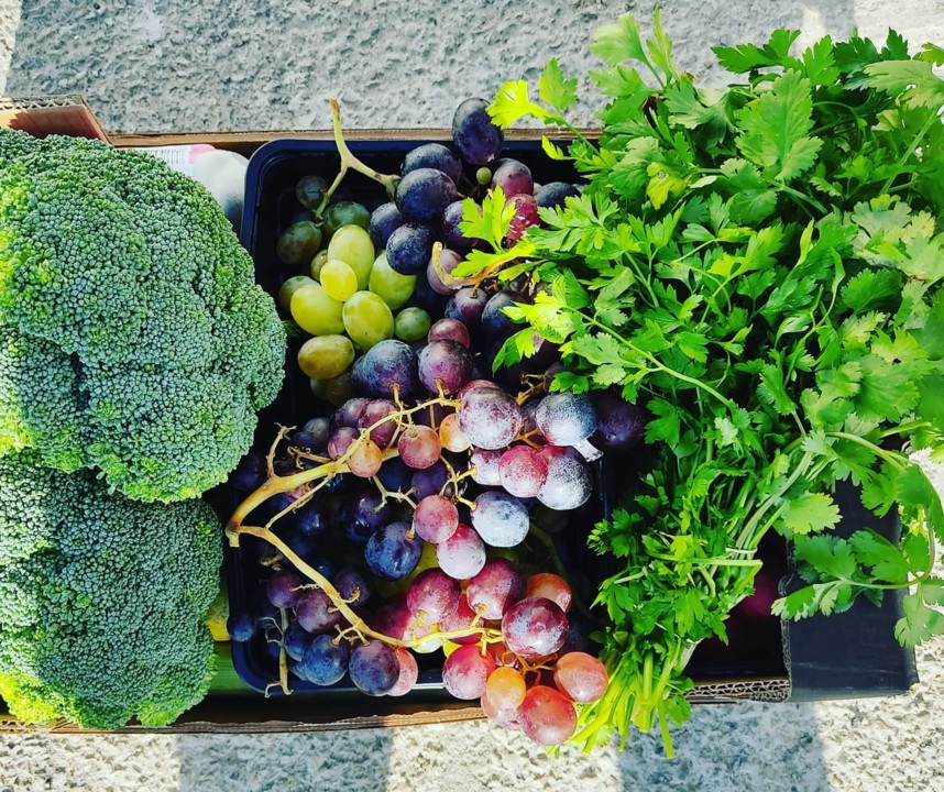 121323527_1837134326426320_2110201124226161832_o.j