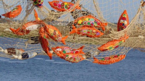 22050324_10209013723852905_3657470607453799345_n.j