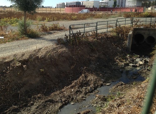 IMG_3101.JPG IMG_3101.JPG