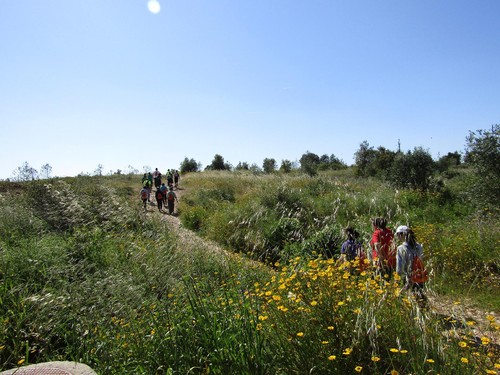 13147712_1133823263315992_2879737968662358495_o.jp