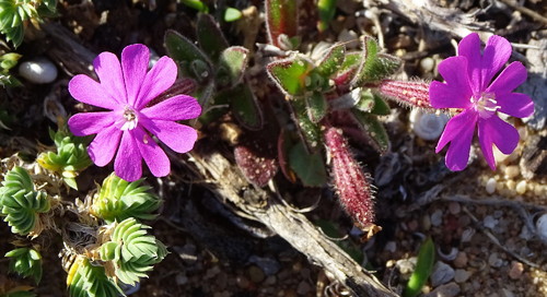 DSC08929.jpg DSC08929.jpg