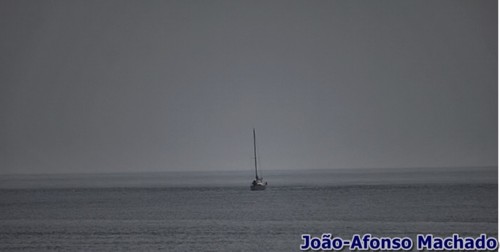 IMG_3036.JPG IMG_3036.JPG