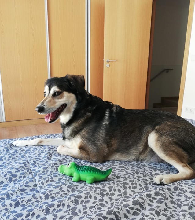 279255750_5692074127488105_6144756685242660075_n.j