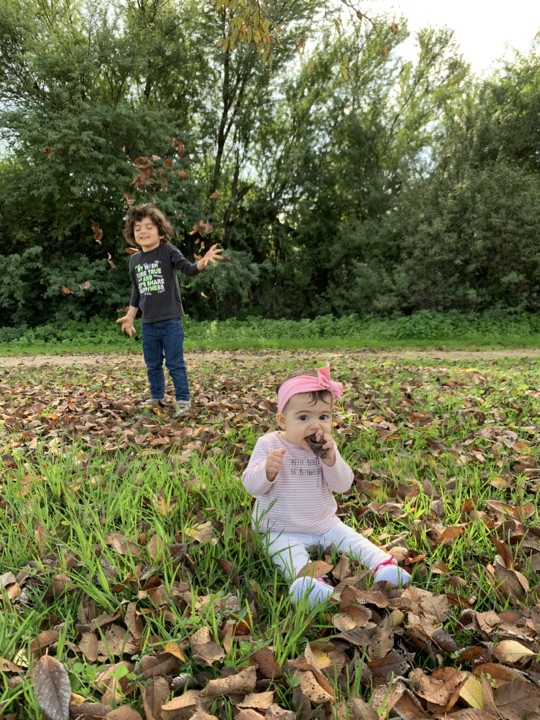 IMG_8389.JPG IMG_8389.JPG