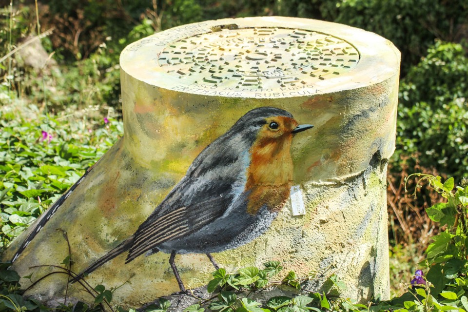 trilho das vinhas-68.jpg