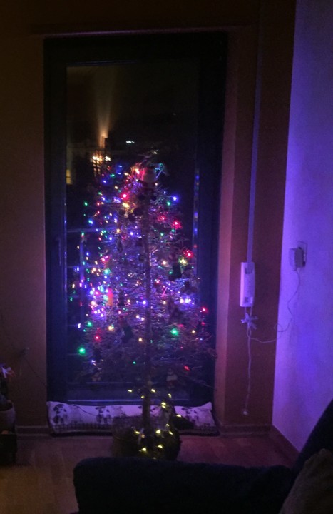 IMG-6220.JPG IMG-6220.JPG