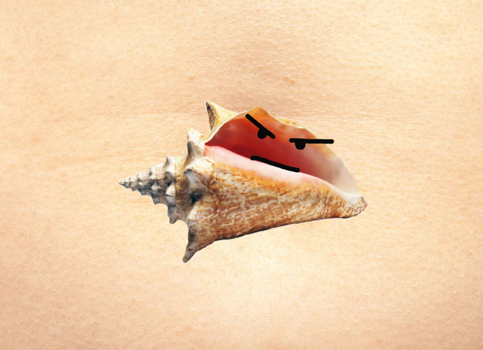 falarumbigo.png falarumbigo.png