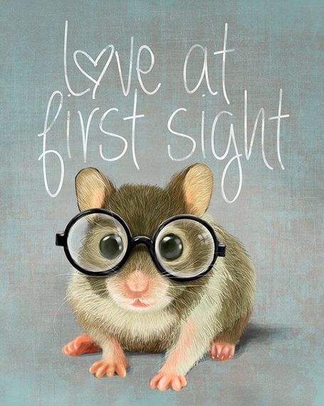 Amores primeira vista 1.png