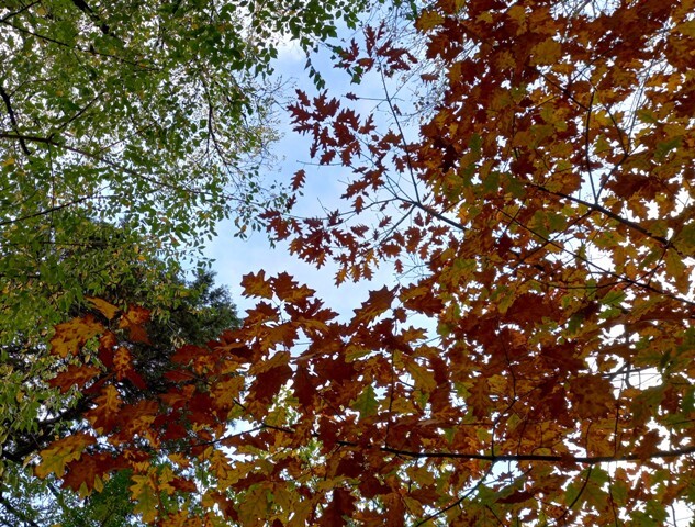 1000023320 - Cópia.jpg