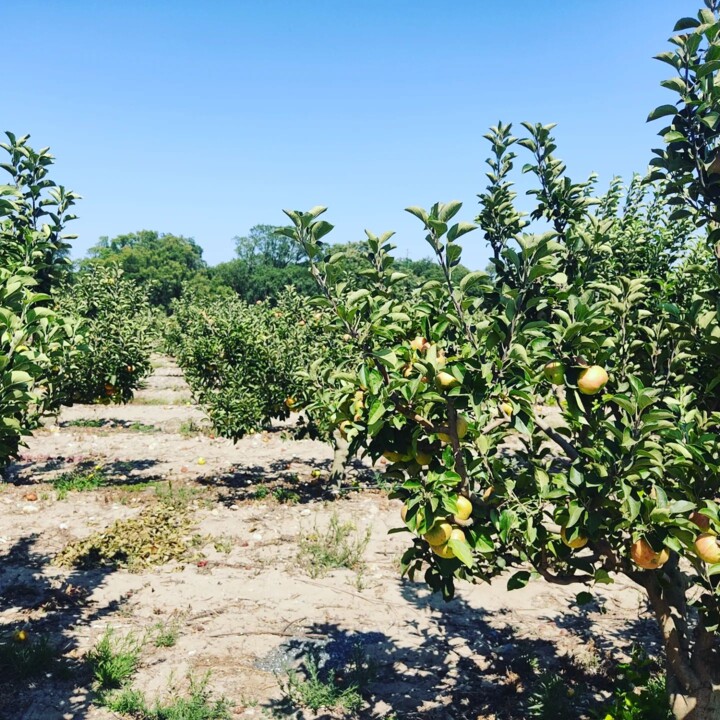 362300546_660806076076806_2252172597770889337_n.jp