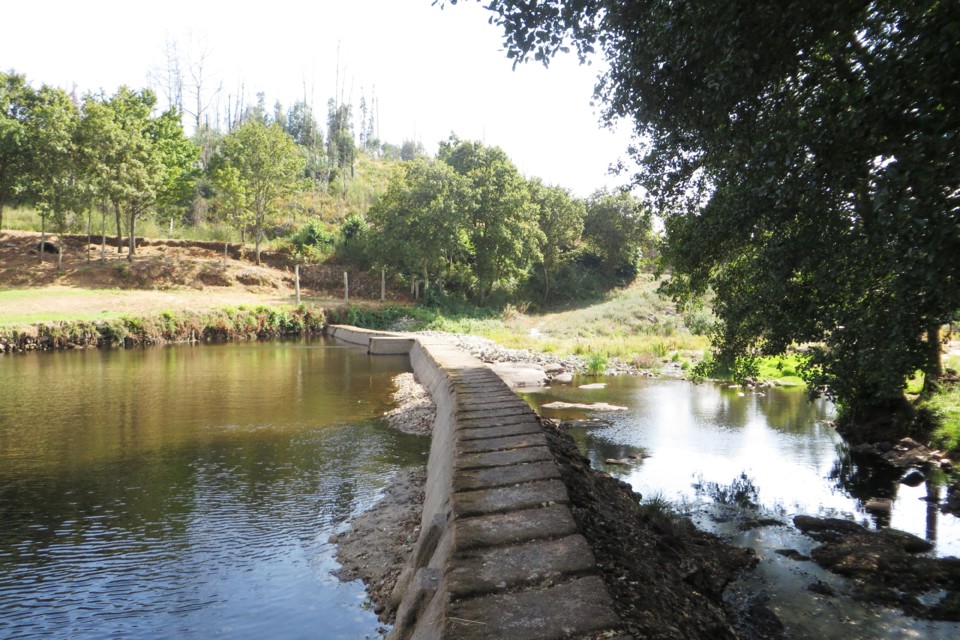 IMG_3419.JPG IMG_3419.JPG