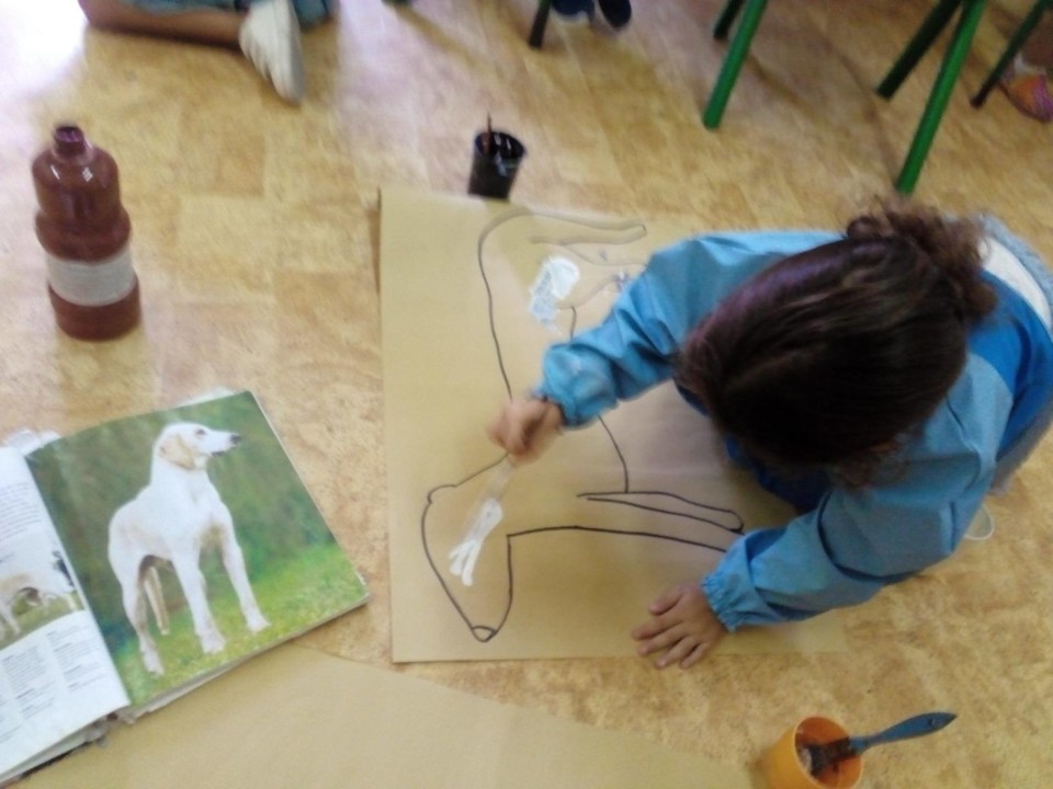 120299908_371295787240591_5669079929994198187_n.jp