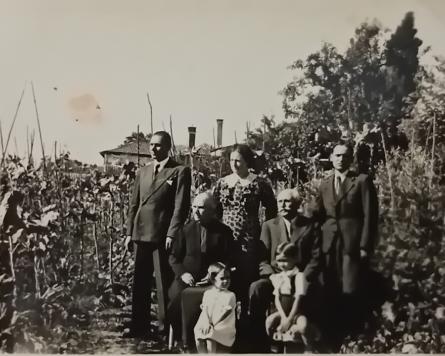 Fotografia Quintal Casa Agrícola Antas.jpg
