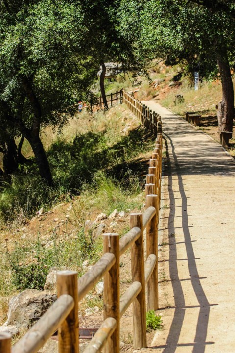 trilho das vinhas-12.jpg