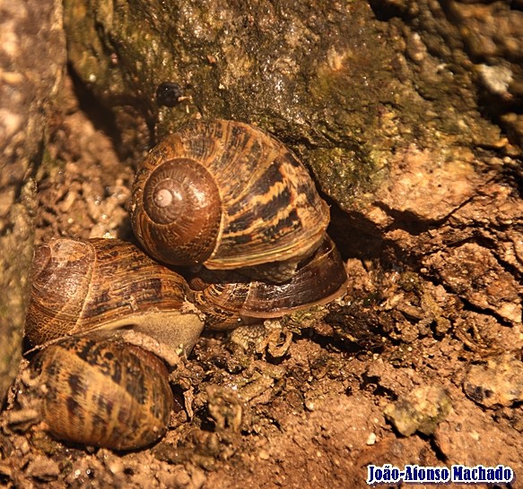 IMG_2654.JPG IMG_2654.JPG