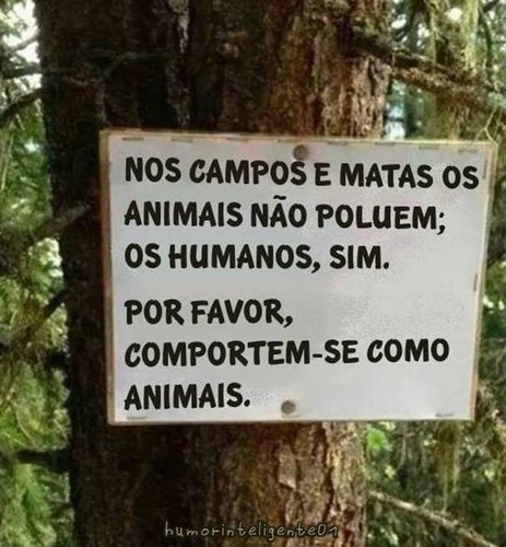 animais2.jpg