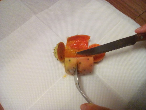 Figo: Separação casca. Original DAPL. 2016.jpg