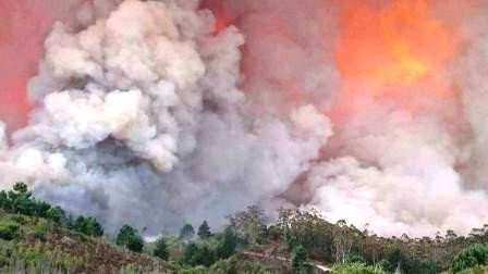 knysna-fire-south-africa.jpg