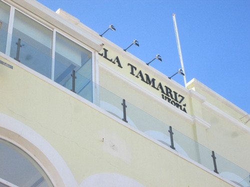 IMG_4488.JPG IMG_4488.JPG