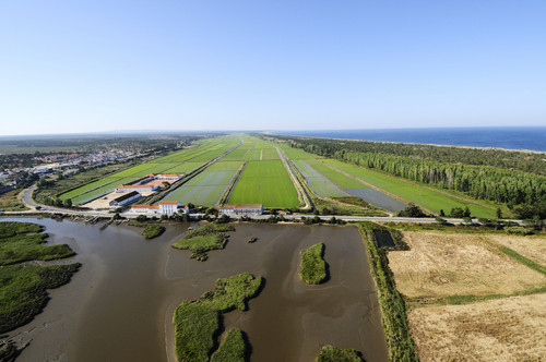 HERDADE COMPORTA.jpg HERDADE COMPORTA.jpg