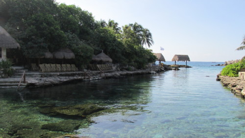 IMG_2556.JPG IMG_2556.JPG