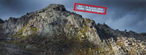 reino maravilhoso sic.jpg