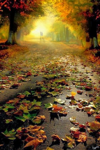 6ba7095b77f92d8aea5f9ade92c0bbbb.jpg 6ba7095b77f92d8aea5f9ade92c0bbbb.jpg