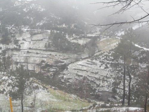 Foto arquivo visita 2015 