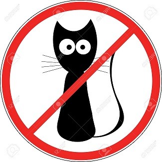 5735535-no-cats-Stock-Photo-no.jpg