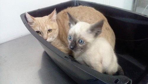 IMG_20161028_160749.jpg IMG_20161028_160749.jpg