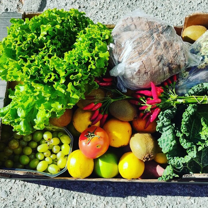 309646222_2426337560839324_6246999651883504275_n.j