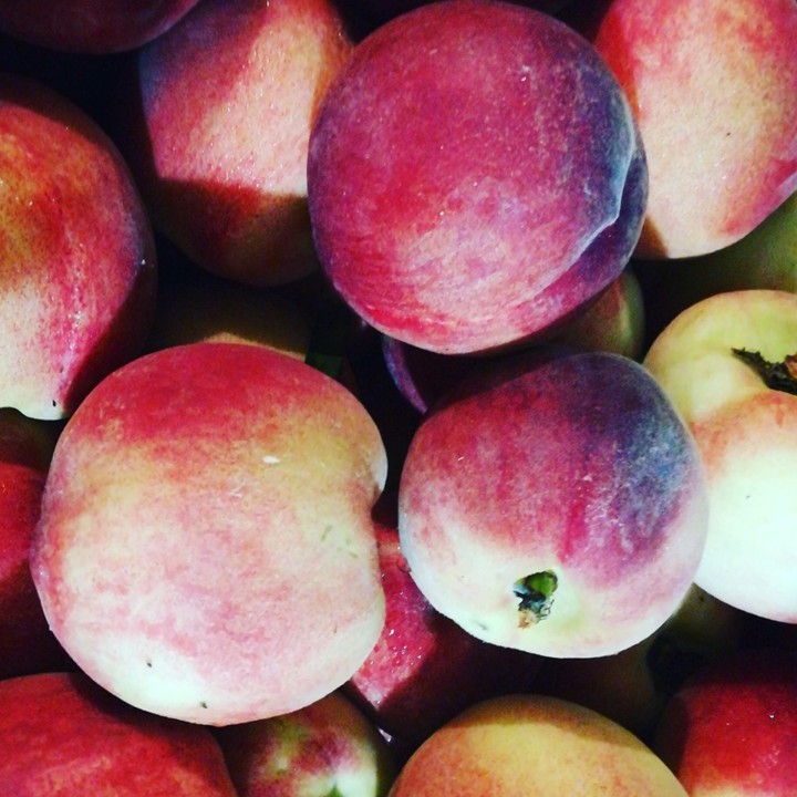 59374806_1362536733886084_9083338824351744000_n.jp