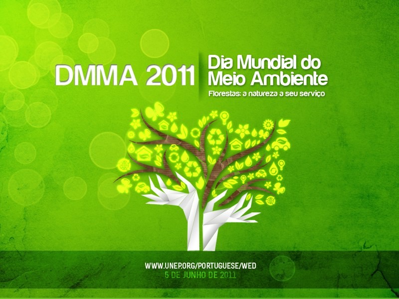 dia-ambiente 2011d.jpg dia-ambiente 2011d.jpg