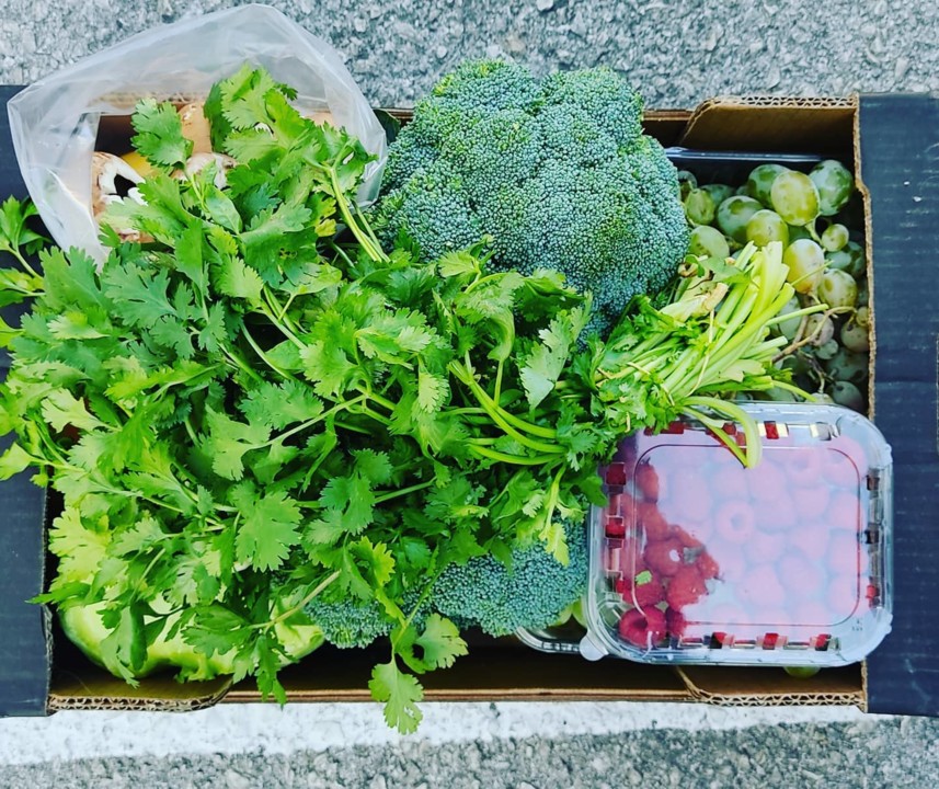 121265453_1837134329759653_1259084833227223903_o.j