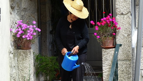 flores4.jpeg flores4.jpeg