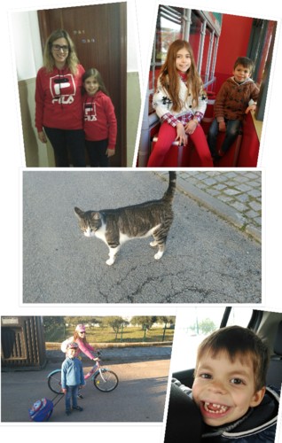 Photo Collage_20190223_225102871.jpg