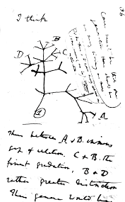 charles-darwin6.png