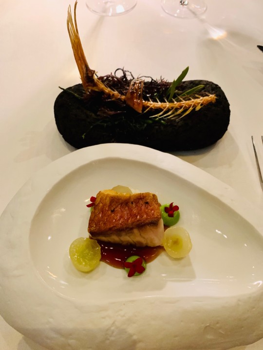 IMG_7764.jpg IMG_7764.jpg