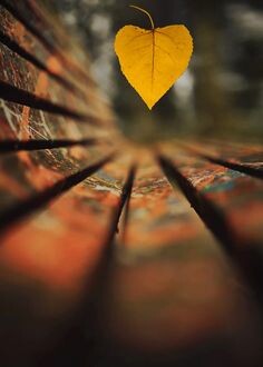 Enquanto não superarmos.jpg