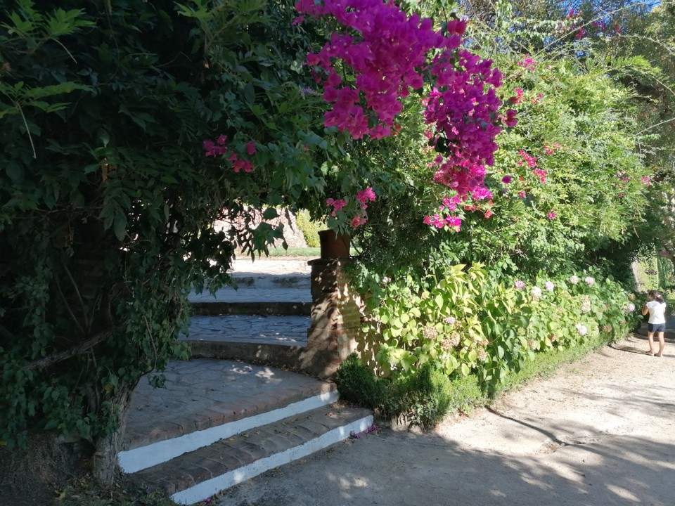 IMG_20200822_173932.jpg IMG_20200822_173932.jpg