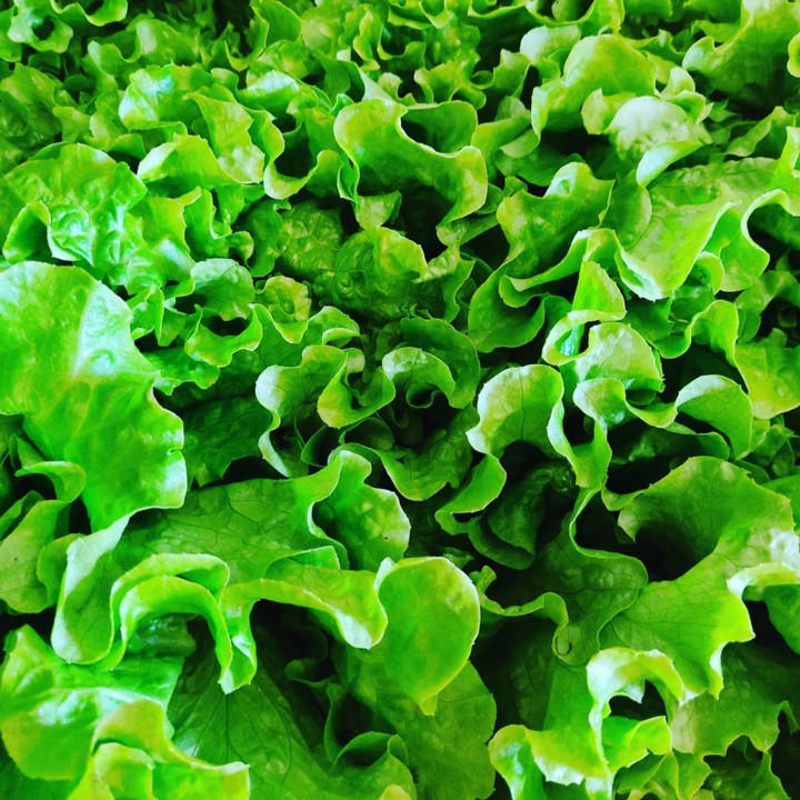 132588360_1906733386133080_475029297892696064_o.jp