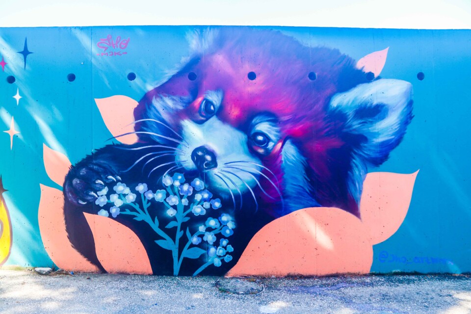 juntas hacemos 37.jpg