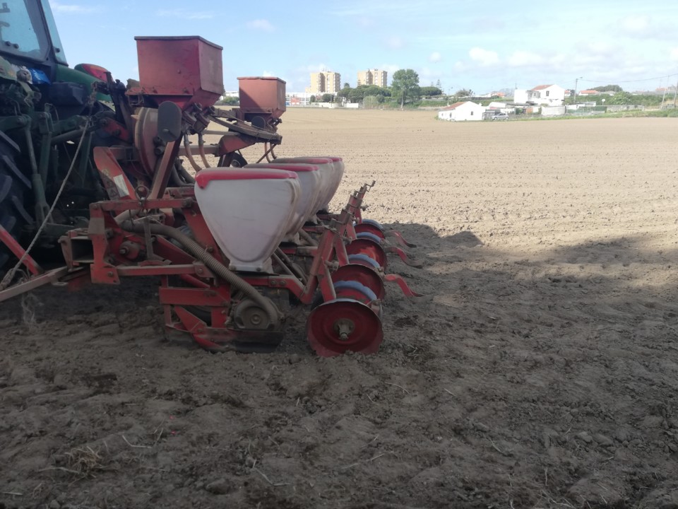 IMG_20200506_172410.jpg